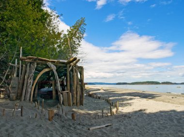 Bir kumsalda döken dalgaların karaya attığı odun