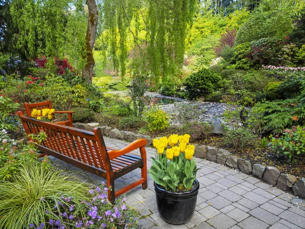 Bench in the spring garden — Stock Photo, Image