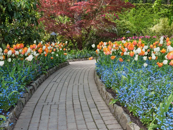 Pasarela pavimentada en el jardín de primavera — Foto de Stock