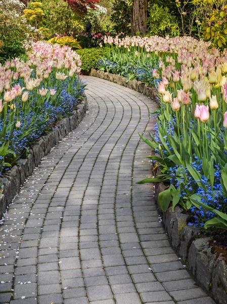 Passerella in giardino primaverile — Foto Stock