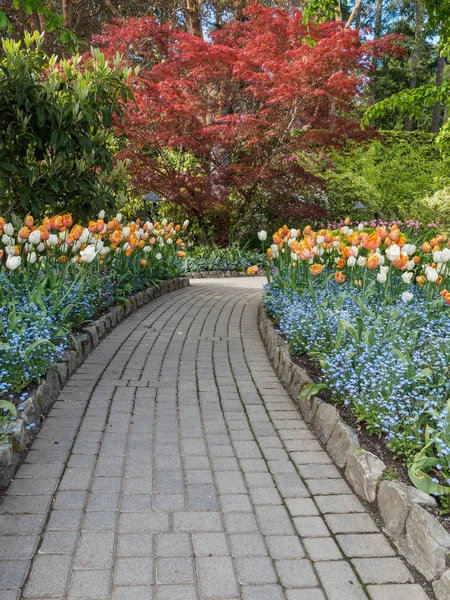 Walkway in a spring garden — Stock Photo, Image