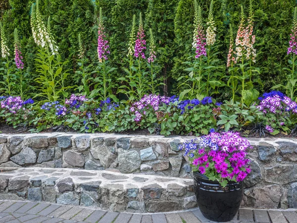 Gartengestaltung mit Fingerhut und Gänseblümchen — Stockfoto