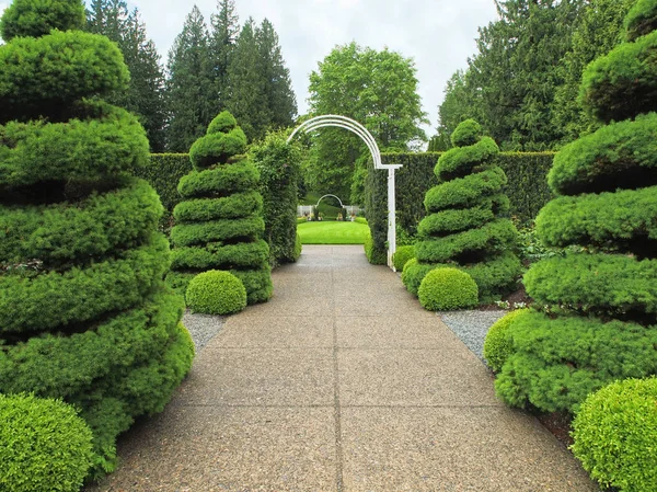 Garden walkway with arc