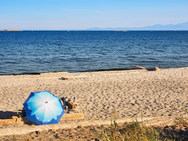 Зонтик на песчаном пляже — стоковое фото