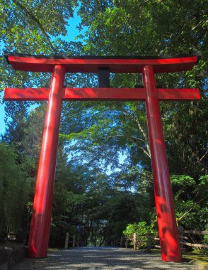 Japon Torii kapıları