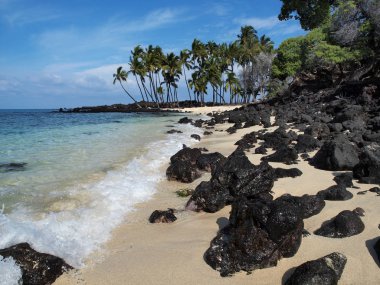 Idyllic tropical beach