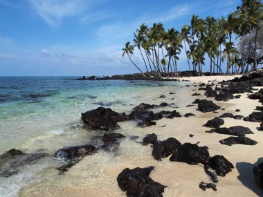 Idyllic tropical beach