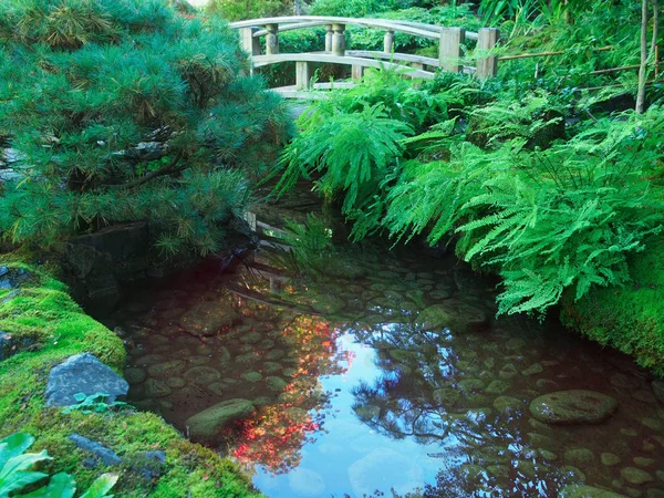 stock image Japanese garden