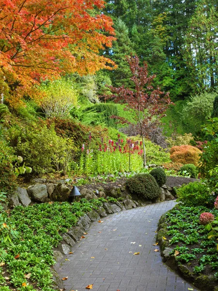 Passerella in un parco d'autunno — Foto Stock