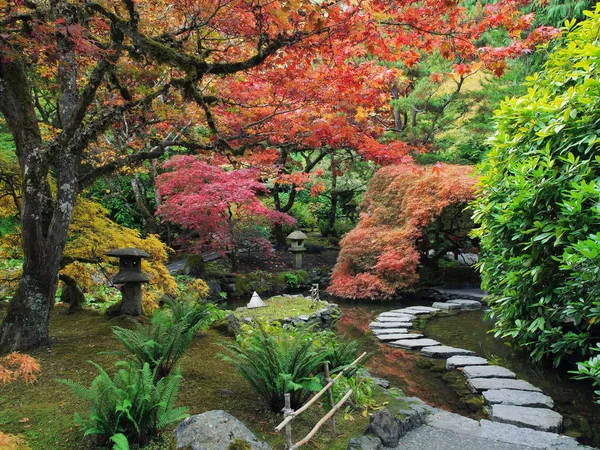 Stepping stones in the Japanese Garden