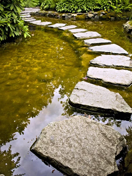 Stepping stones — Stock Photo, Image