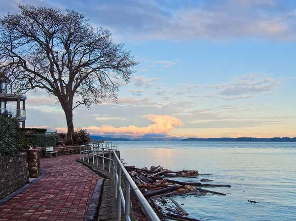 Windstorm efterdyningarna i Sidney Bc — Stockfoto