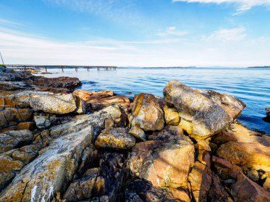 Kayalık Sidney shore