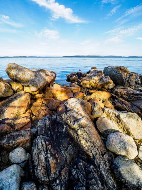 Kayalık Sidney shore