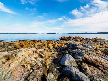 Kayalık Sidney shore