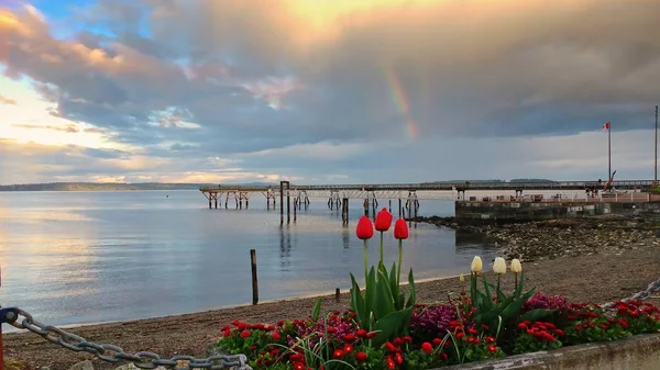 Pôr-do-sol colorido e arco-íris sobre cais de pesca em Sidney — Fotografia de Stock