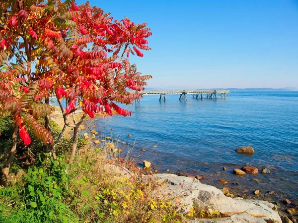 Otoño en Sidney — Foto de Stock