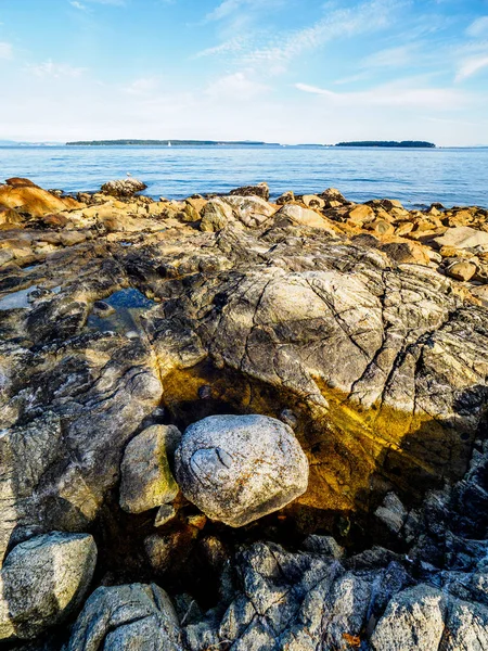 Côte rocheuse de Sidney — Photo