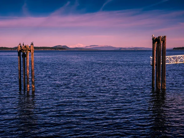Widokiem na zachód słońca na brzegu w Sidney, Wyspa Vancouver, British Co — Zdjęcie stockowe