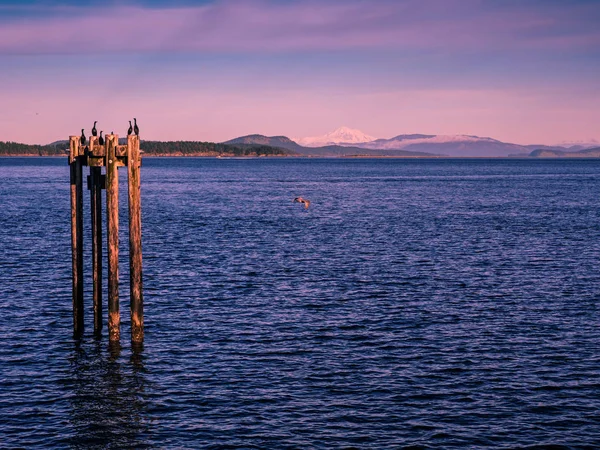 Ηλιοβασίλεμα στην ακτή του Σίδνευ, Vancouver Island, βρετανική Co — Φωτογραφία Αρχείου