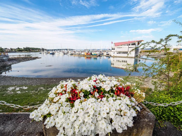 Red and white flowers decorate the seaside walk in Sidney, Vanco — Stock Photo, Image