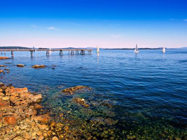 Sidney, Vancouver Adası, Kanada 'dan mt. Baker üzerinde görünüm, SA