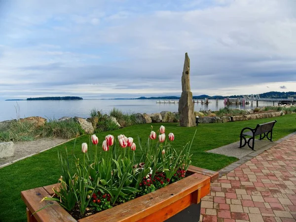Tulips decorate the seaside walk in Sidney, Vancouver Island, British Columbia — Stock Photo, Image