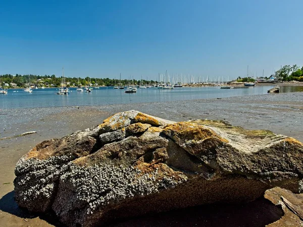 Cadboro Körfezi Plajı — Stok fotoğraf