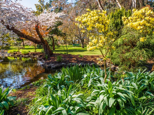 Bahar çiçeği genel Beacon Hill Park, Victoria Bc Canada