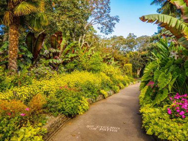 Kamu Beacon Hill Park yürüyüş yolu, Victoria BC, Kanada