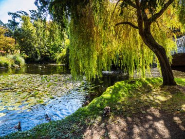 Göl genel Beacon Hill Park, Victoria Bc Canada