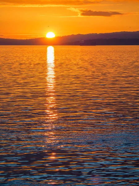 Puesta de sol en el rompeolas de Ogden Point, Victoria BC — Foto de Stock