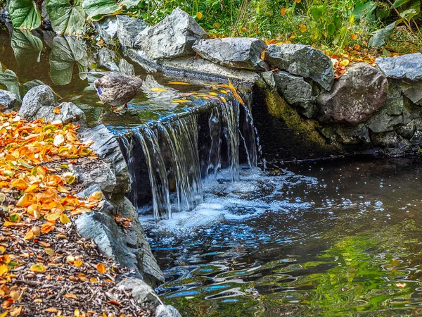 Wasserlauf während der Herbstsaison im öffentlichen Leuchtturmpark — Stockfoto