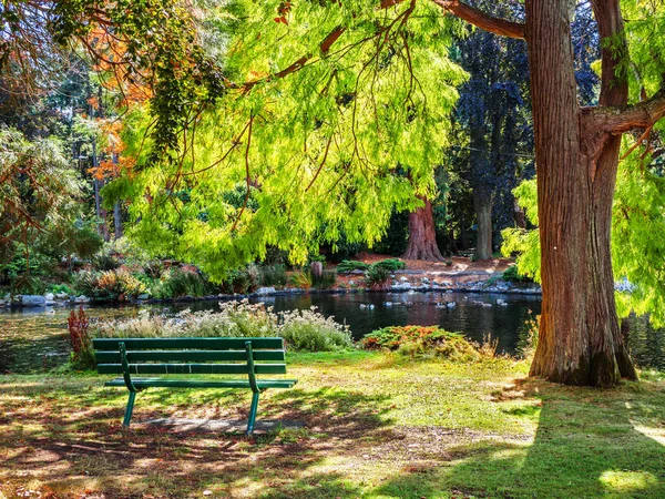 Danau di Taman Beacon Hill publik, Victoria BC Canada — Stok Foto