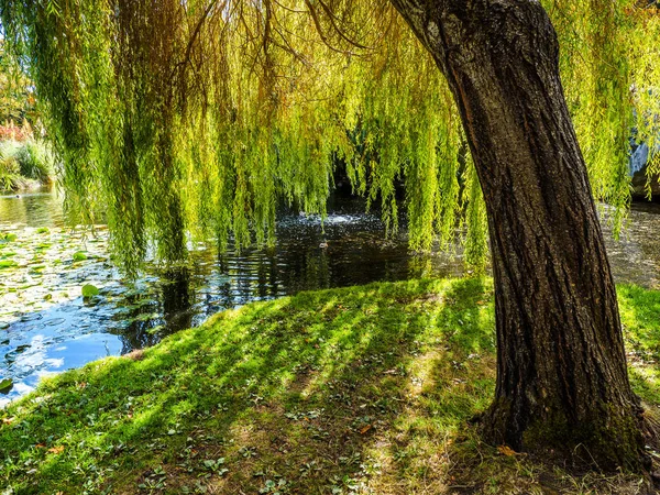 Lago en el público Beacon Hill Park, Victoria BC Canada — Foto de Stock