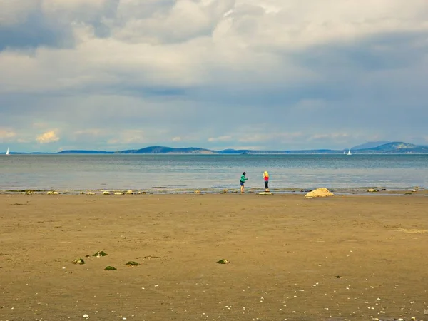 Mt. Playa Douglas Park — Foto de Stock