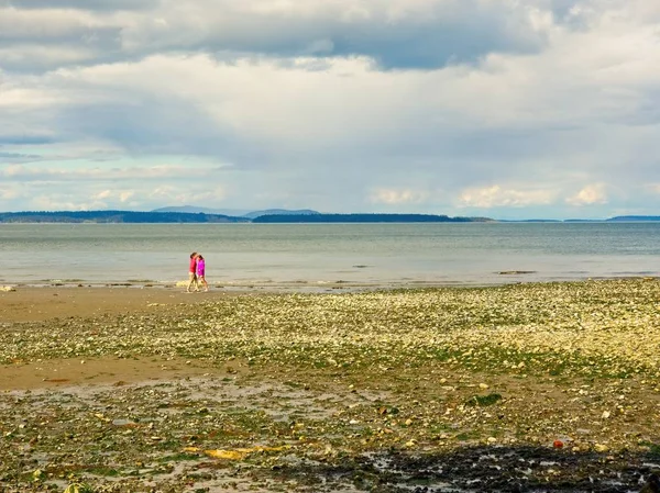 Mt. Playa Douglas Park — Foto de Stock