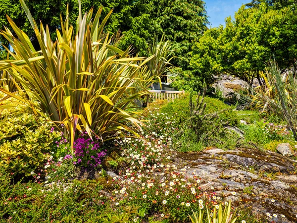 West Coast garden — Stock Photo, Image