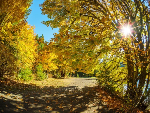 Paseo en el bosque de otoño. Entrada Tod, Victoria BC, Canadá — Foto de Stock