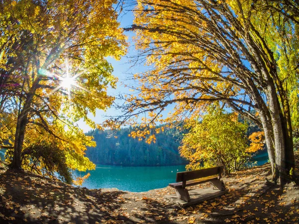 Banco en la orilla con vistas a la bahía, rodeado de árboles de otoño . — Foto de Stock