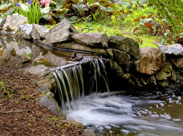Petite cascade dans le parc Beacon Hill — Photo