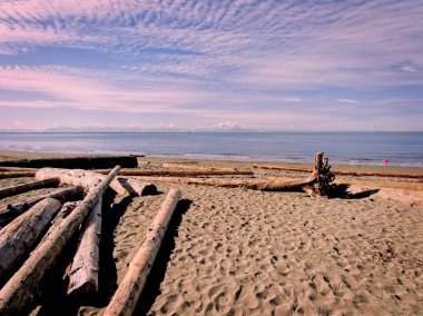 Wreck Beach in Vancouver clipart