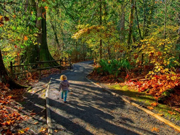 Goldstream Park — Stock Photo, Image