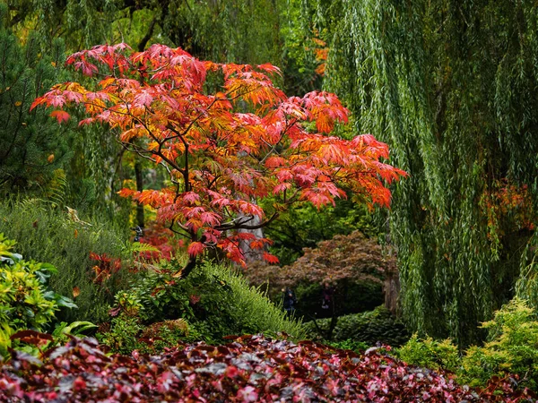 Parque de otoño — Foto de Stock
