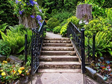Baharda çimenlerin ve çiçek tarlalarının arasında baharın bahçesinde merdivenleri ve açık kapısı olan Paved geçidi