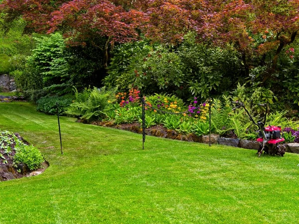 Pelouse Gazonnée Avec Outil Jardinage Aération Motorisée Dans Jardin Printemps — Photo