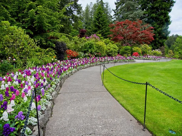 Pasarela Pavimentada Jardín Primavera Entre Césped Los Macizos Flores — Foto de Stock