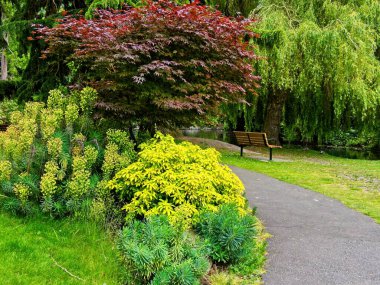 Victoria BC, Vancouver Adası 'nda yaz aylarında Beacon Hill parkında yürüyüş.