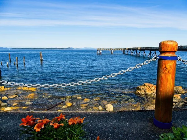 Spektakulär Strandlinje Från Sidney Vancouver Island Kanada Fokus Blommande Liljor — Stockfoto