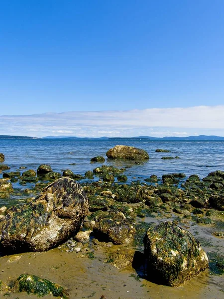 Rocky Shore Island View Beach Low Tide Vancouver Island Canada — 스톡 사진